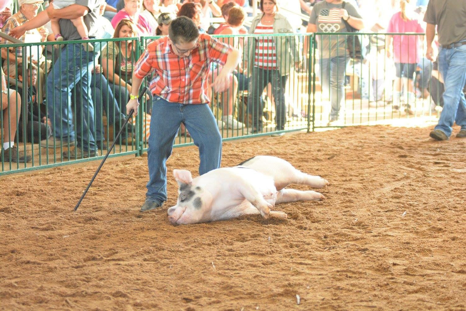 Stock Show Kids Say the Darndest Things