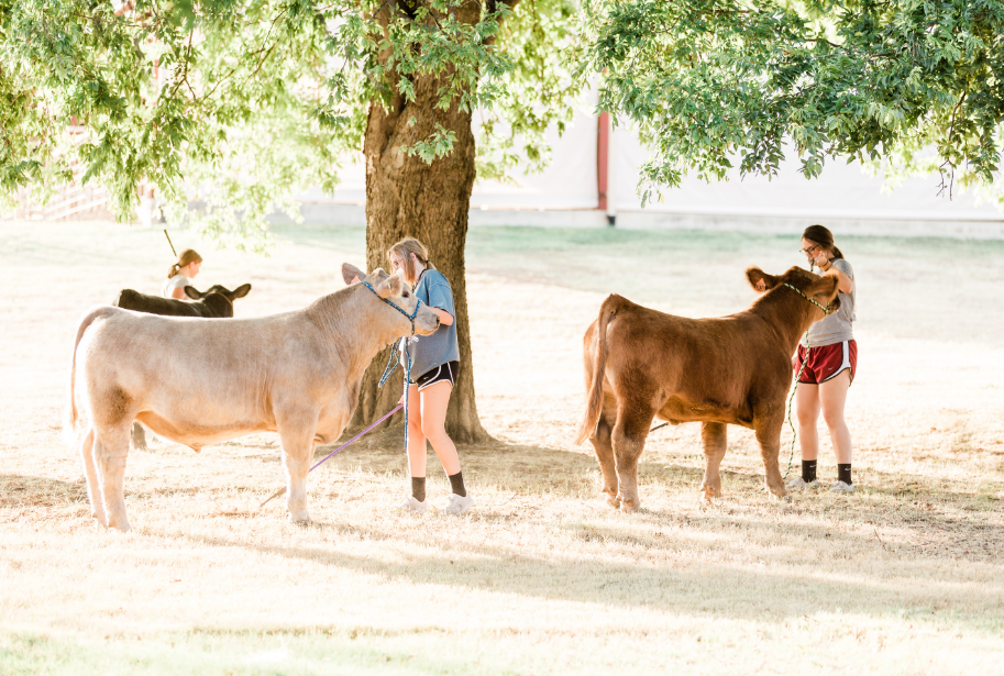 4 Principles to Step up Your Showmanship