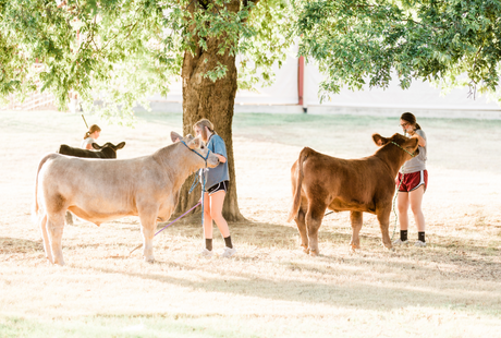 4 Principles to Step up Your Showmanship