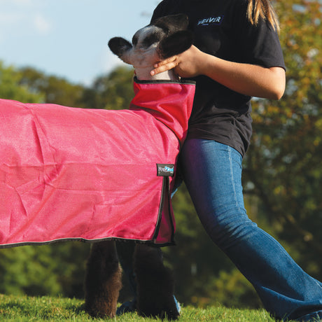 ProCool™ Sheep Blanket with Reflective Piping, Mesh Butt