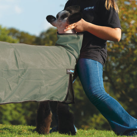 ProCool™ Sheep Blanket with Reflective Piping, Mesh Butt