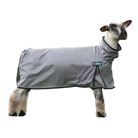 ProCool™ Sheep Blanket with Reflective Piping, Mesh Butt, Gray