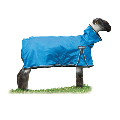 ProCool™ Sheep Blanket with Reflective Piping, Mesh Butt