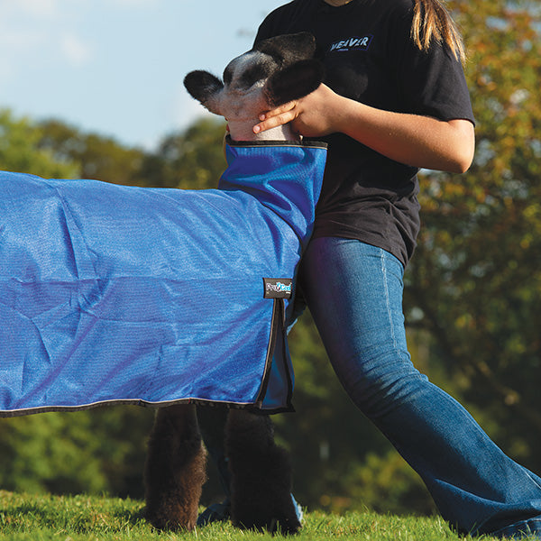 ProCool™ Sheep Blanket with Reflective Piping, Mesh Butt