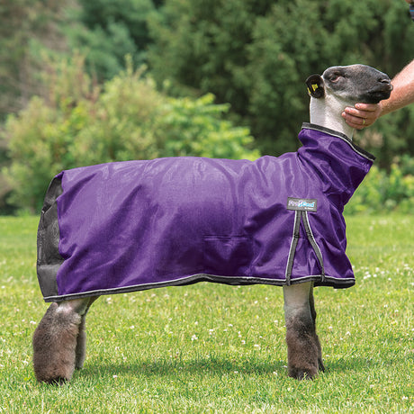 ProCool™ Sheep Blanket with Reflective Piping, Mesh Butt