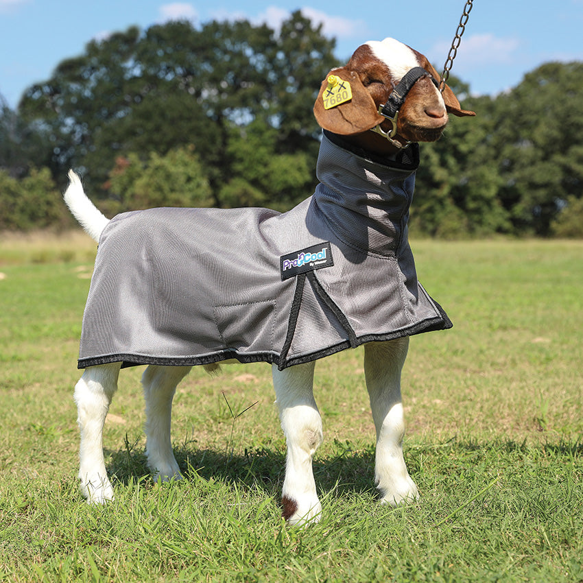 ProCool™ Goat Blanket with Reflective Piping, Mesh Butt