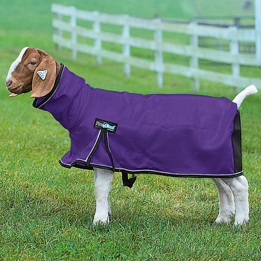 ProCool™ Goat Blanket with Reflective Piping, Mesh Butt