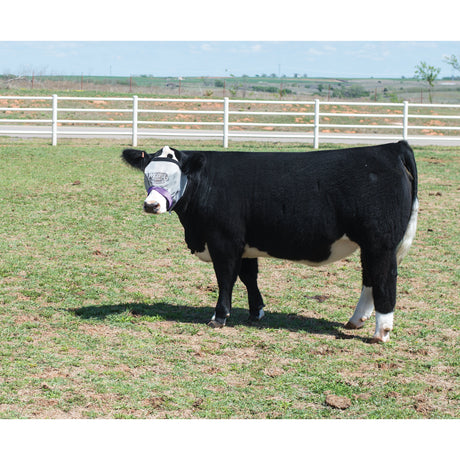 Cattle Fly Mask in use