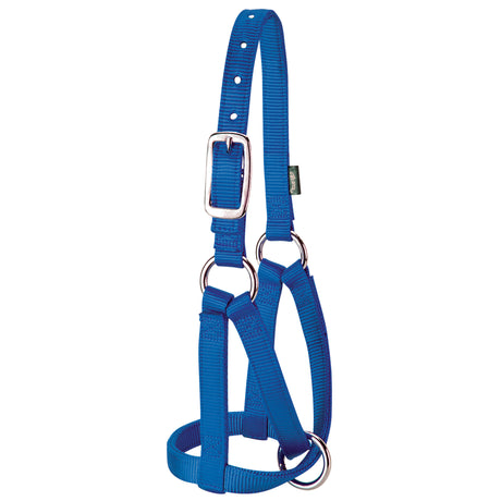 Llama Halter, Blue