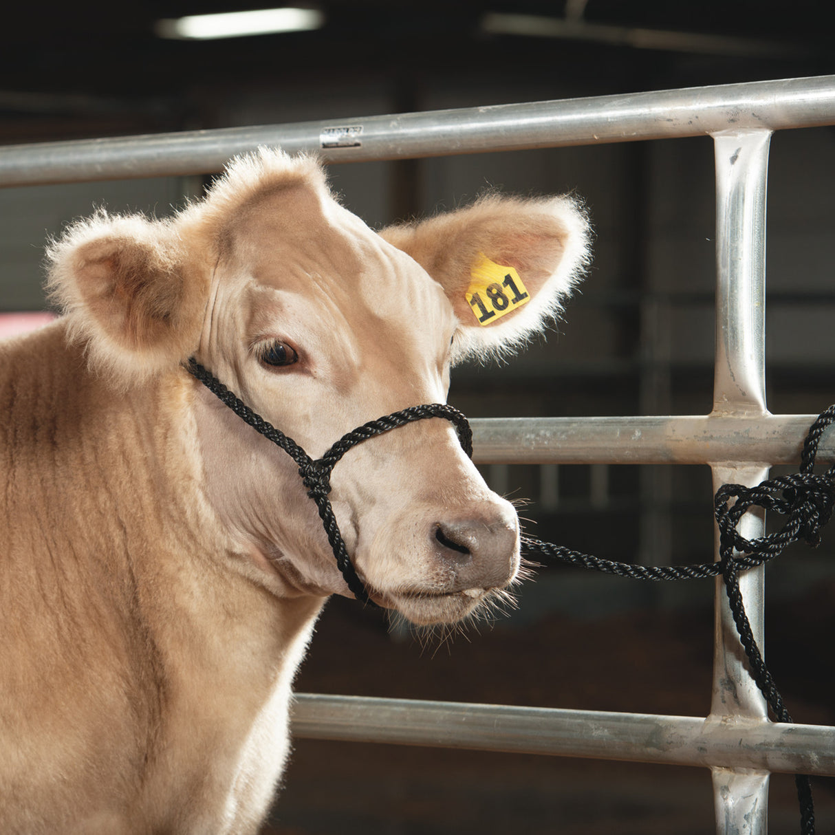 Poly Rope Breaking Halter