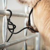 Poly Rope Breaking Halter