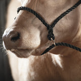 Poly Rope Breaking Halter