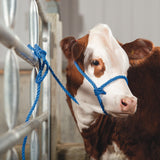 Poly Rope Breaking Halter