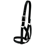 Barn Cow Halter