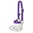 Nylon Adjustable Sheep Halter with Chain Lead, Purple