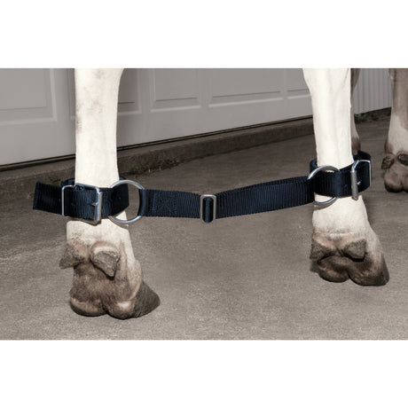 Deluxe Adjustable Cow Hobbles