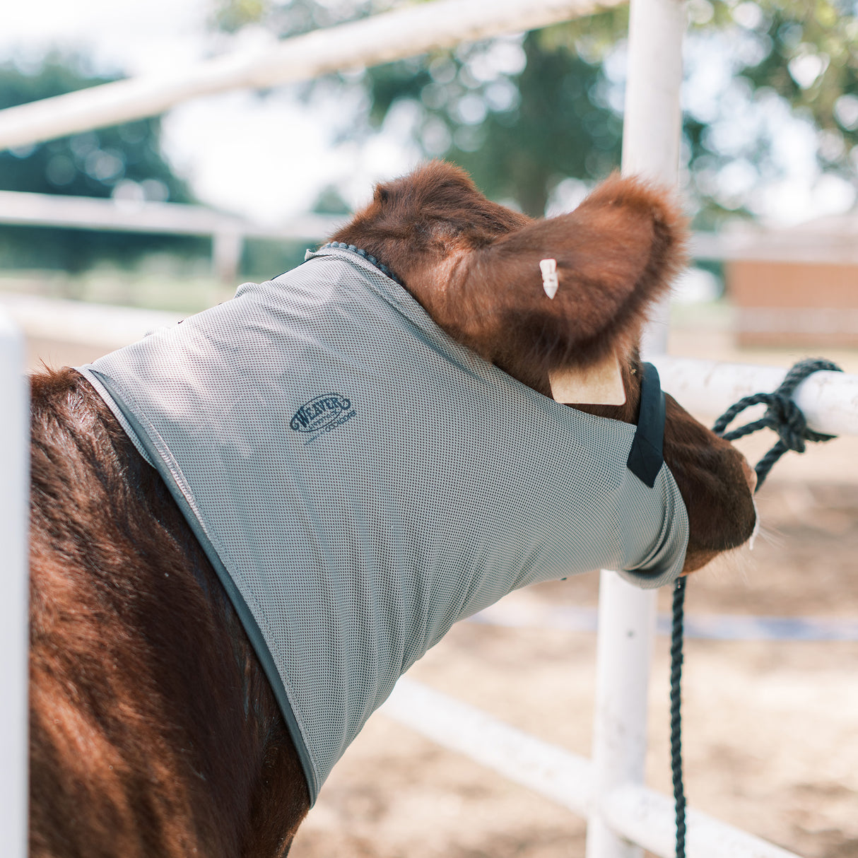 Cattle Cooling Neck Wrap, Logo