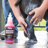 Degreasing Shampoo