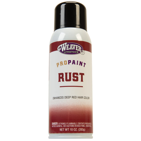 ProPaint Rust, 10 oz.