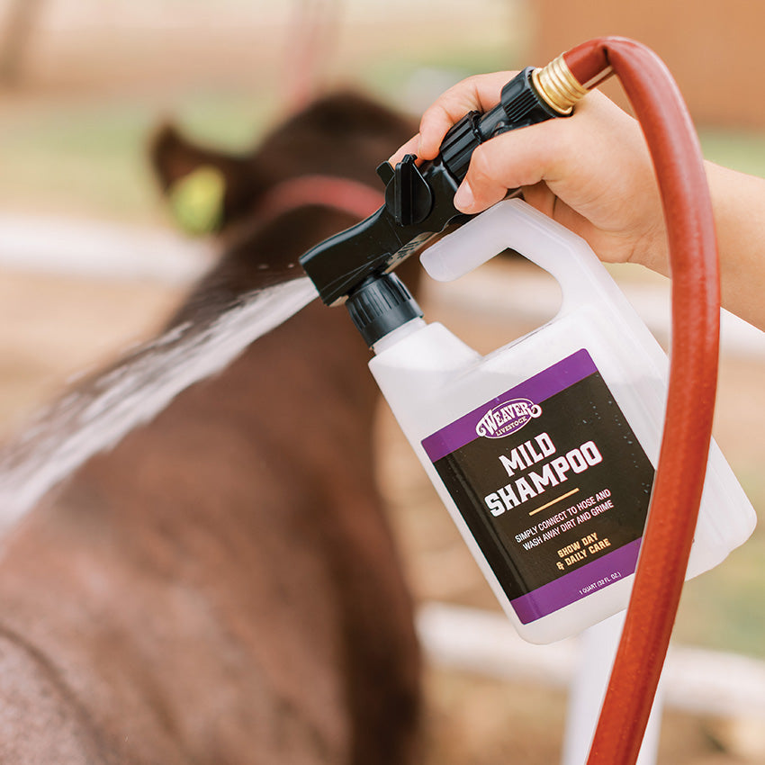 Mild Shampoo with Hose Attachment, in use