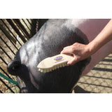 Plastic Tampico Pig Brush