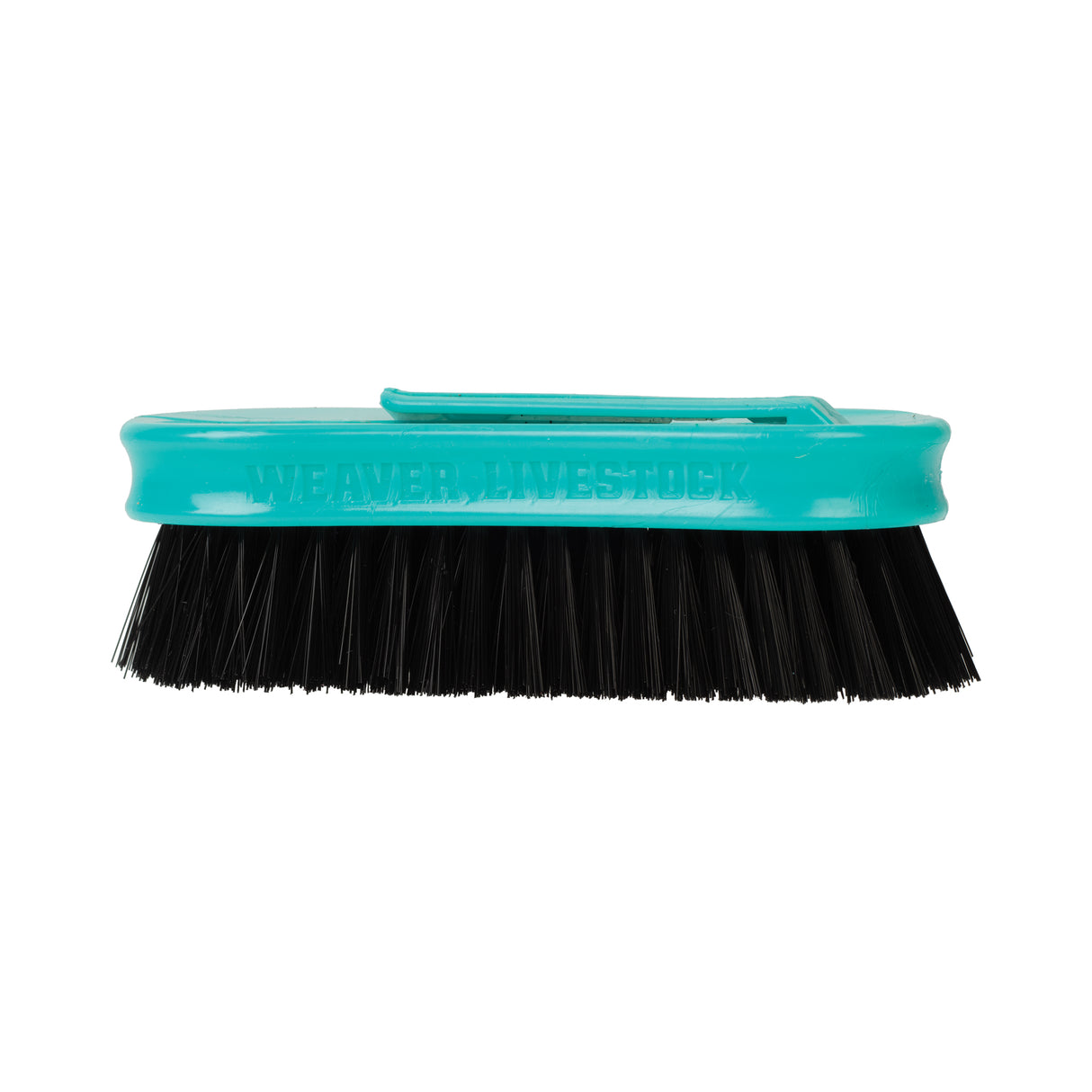 Pig Face Brush, Plastic Handle