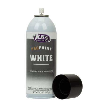 ProPaint White Powder, 10 oz.