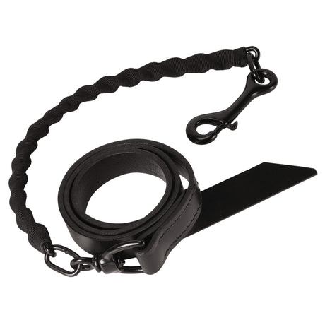 Brahma Webb® Covered Chain Cattle Lead