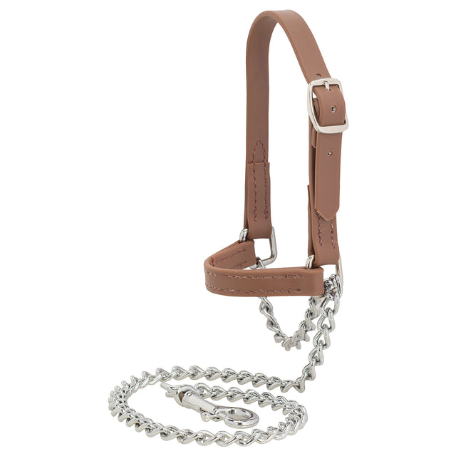 Sheep and Goat Brahma Webb® Halters, Russet Brown