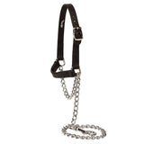 Sheep and Goat Brahma Webb® Halters