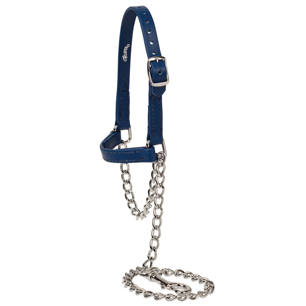 Sheep and Goat Brahma Webb® Halters