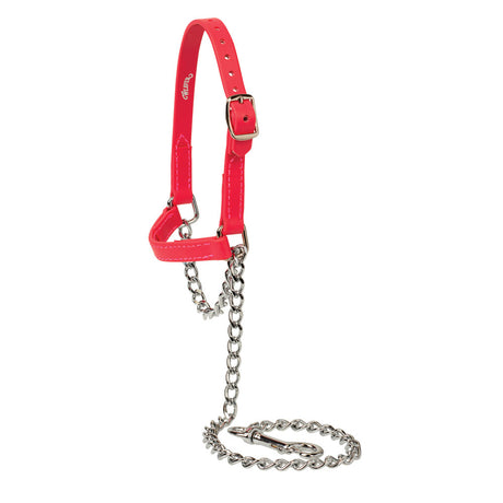 Sheep and Goat Brahma Webb® Halters