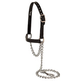 Brahma Webb Clear Coat Sheep and Goat Halter, Black