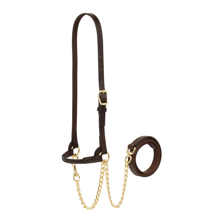 Dairy Show Halter