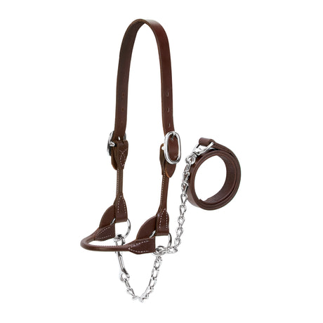 Dairy/Beef Rounded Show Halter