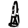 Goat Halter, 3/4", Large, Black