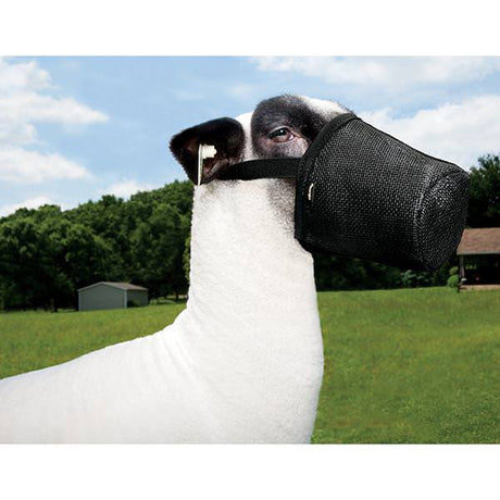 Sheep/Goat Muzzle