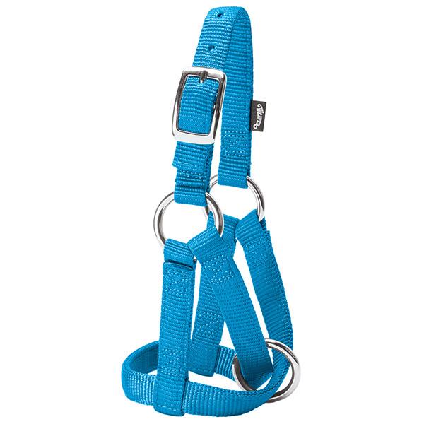 Goat Halter, 3/4", Large, Hurricane Blue