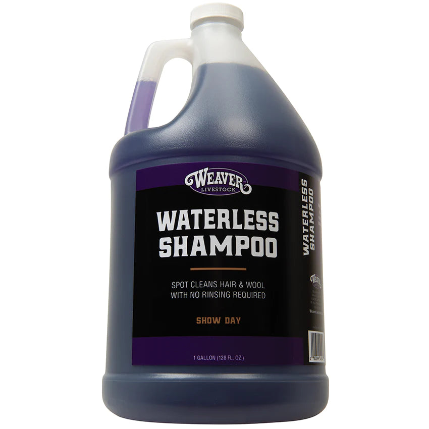 Whisker city waterless clearance shampoo