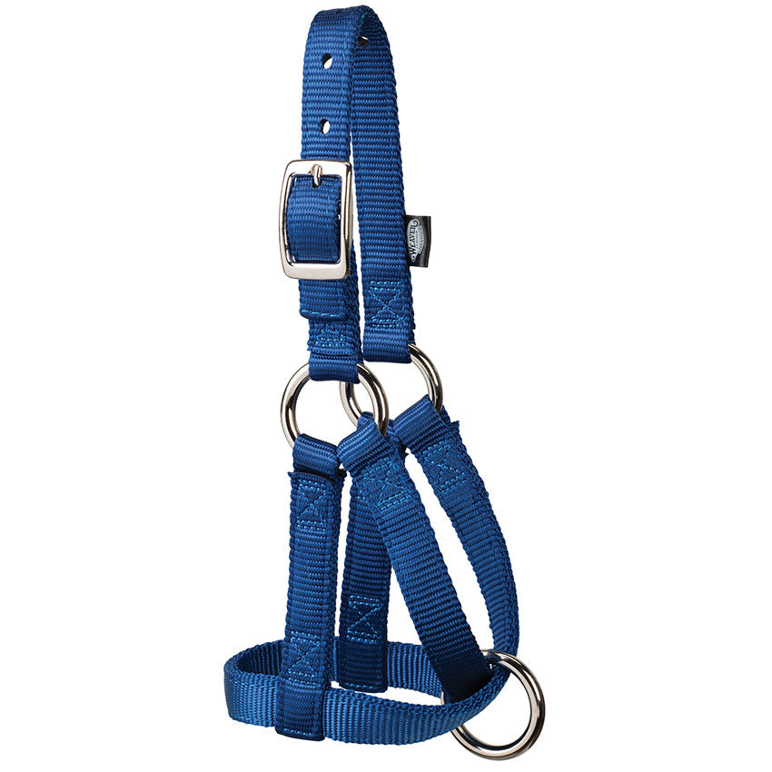 Goat Halter, 3/4", Large, Navy