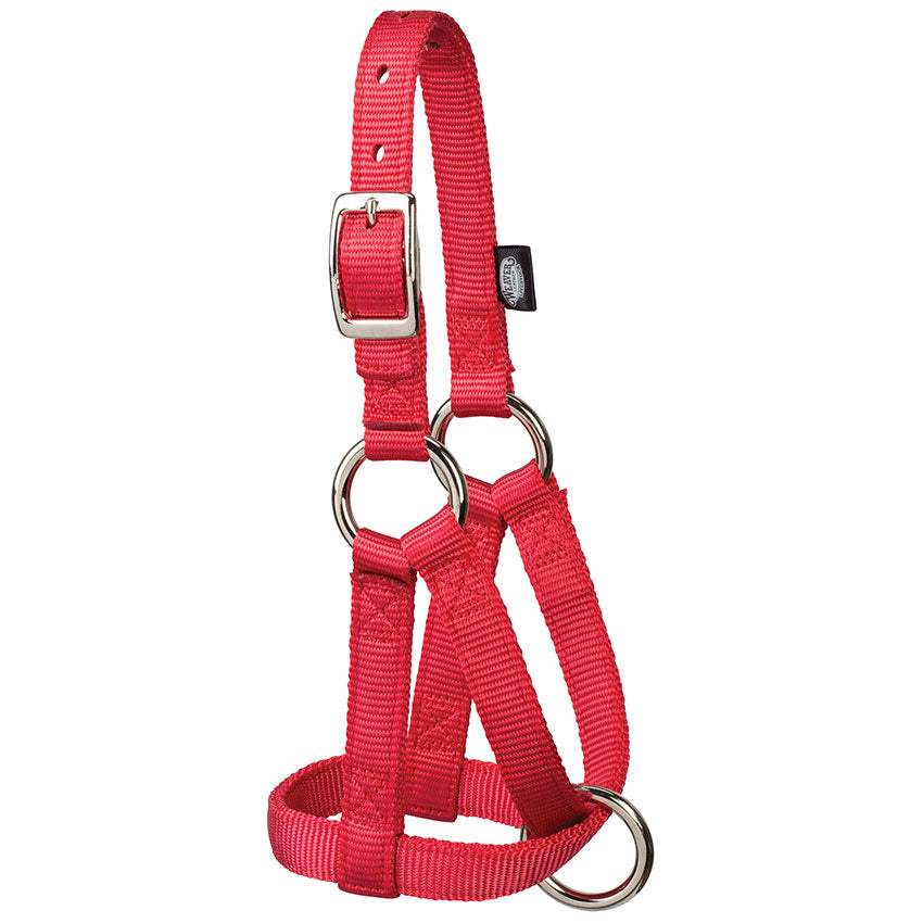 Goat Halter, 3/4", Large, Strawberry