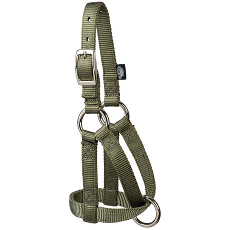 Goat Halter, 3/4", Large, Hunter Green