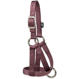 Goat Halter, 3/4", Large, Mauve