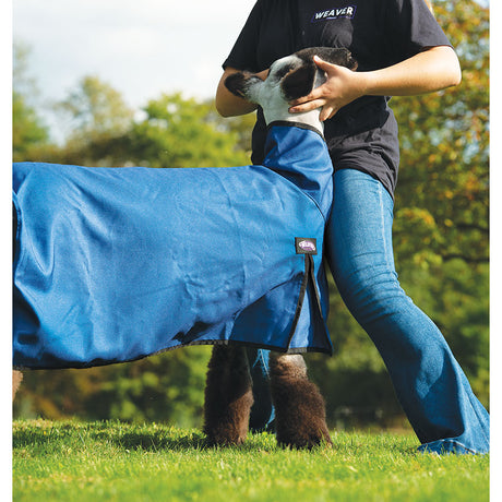 Nylon Sheep Blanket, Navy