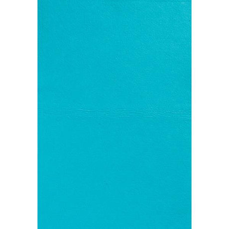 Ultra-Absorbent Chamois, Blue