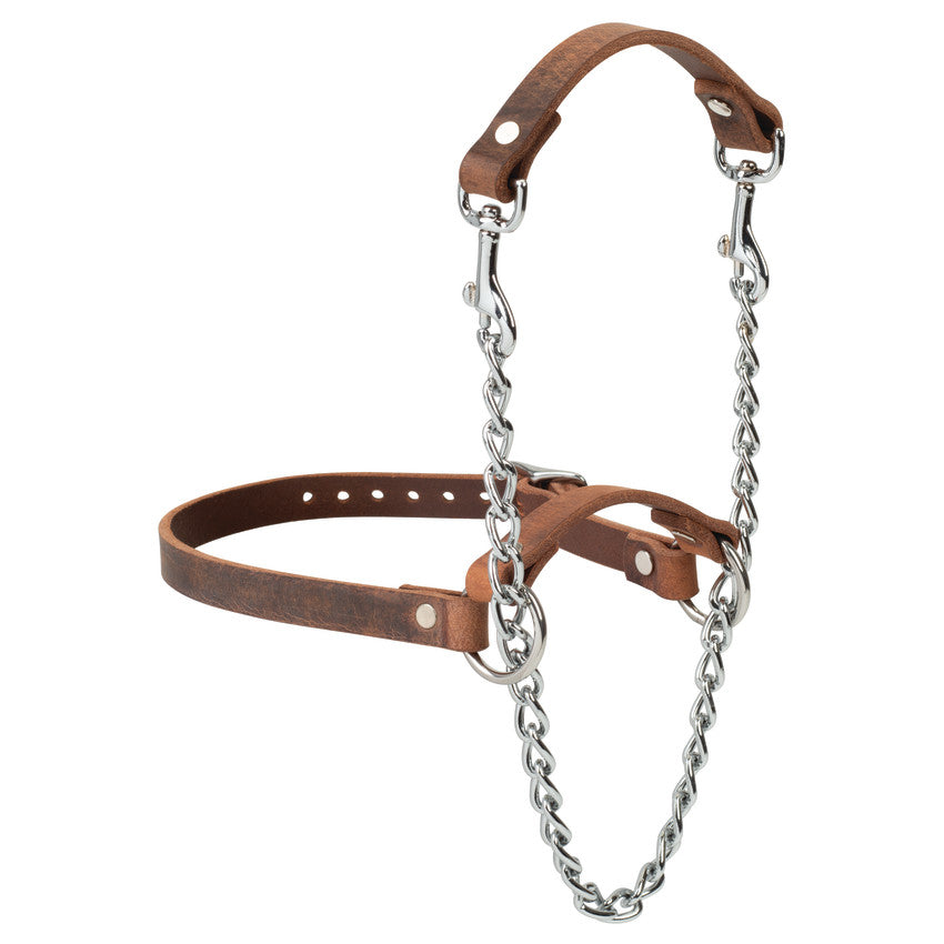 Total Control Leather Goat Halter