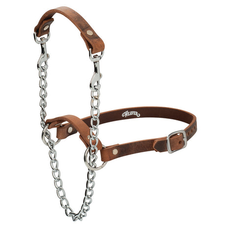 Total Control Leather Goat Halter